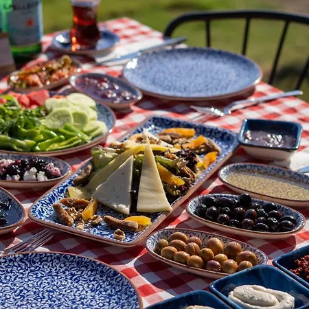 Leone Natural Hotel Ayvalik