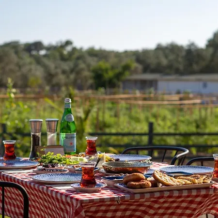 Leone Natural Otel Ayvalı